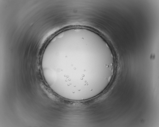 X0000110760974200906150926