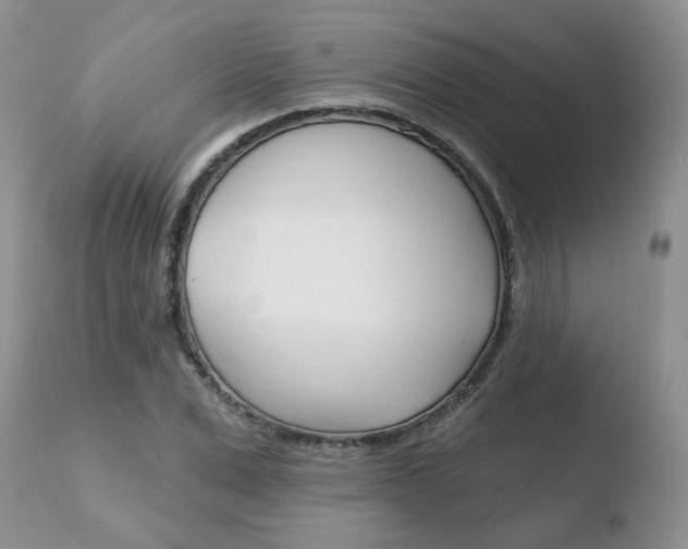 X0000110760975200906150926
