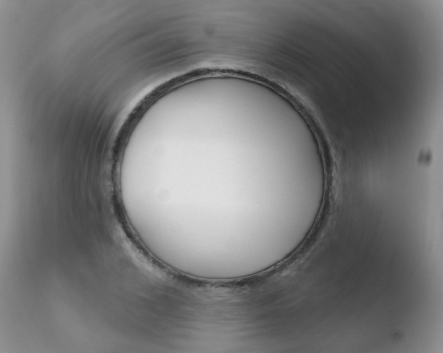 X0000110760976200906150926