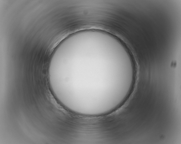 X0000110760977200906150926