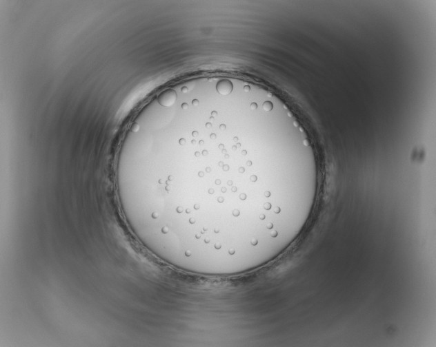 X0000110760978200906150926