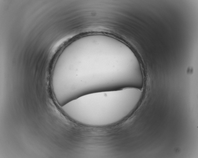 X0000110760979200906150926