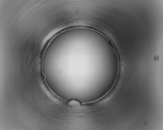 X0000110760981200906150926