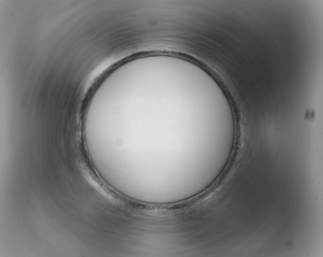 X0000110760982200906150926