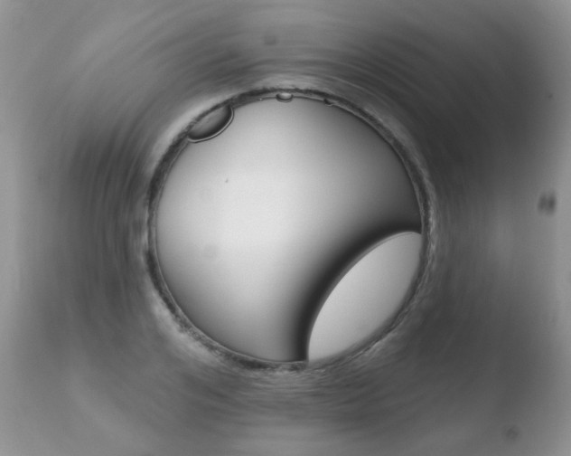 X0000110760984200906150926