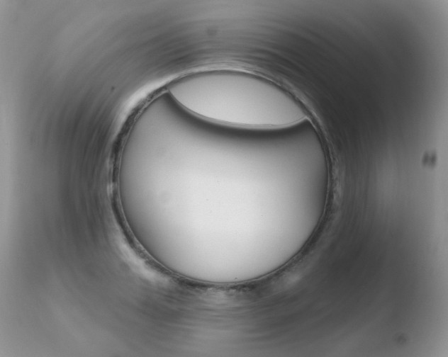 X0000110760987200906150926