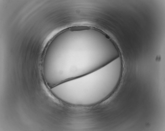 X0000110760989200906150926