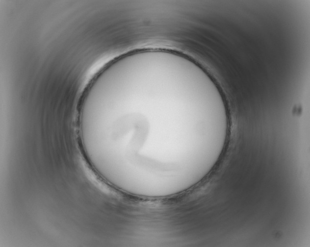 X0000110760990200906150926