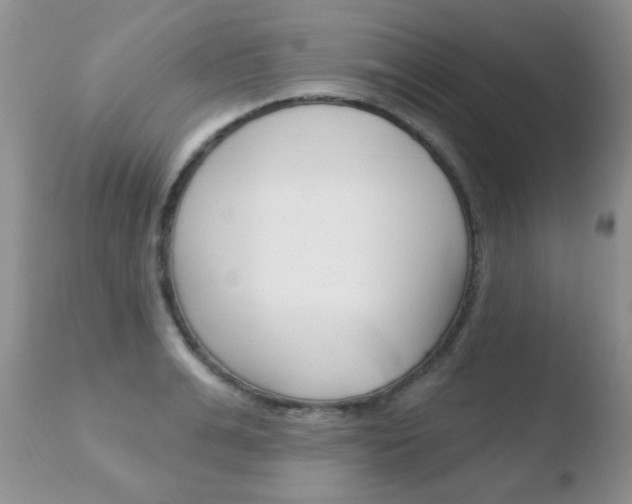 X0000110760991200906150926
