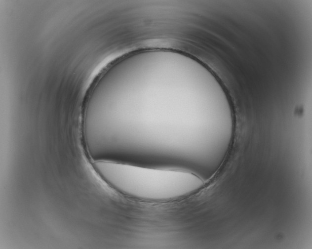 X0000110760992200906150926