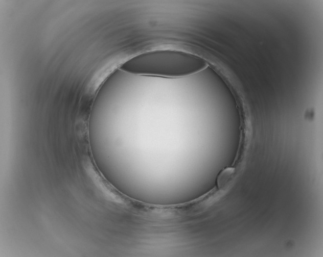 X0000110760993200906150926