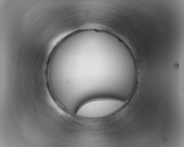 X0000110760995200906150926