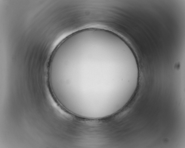 X0000110760999200906150926