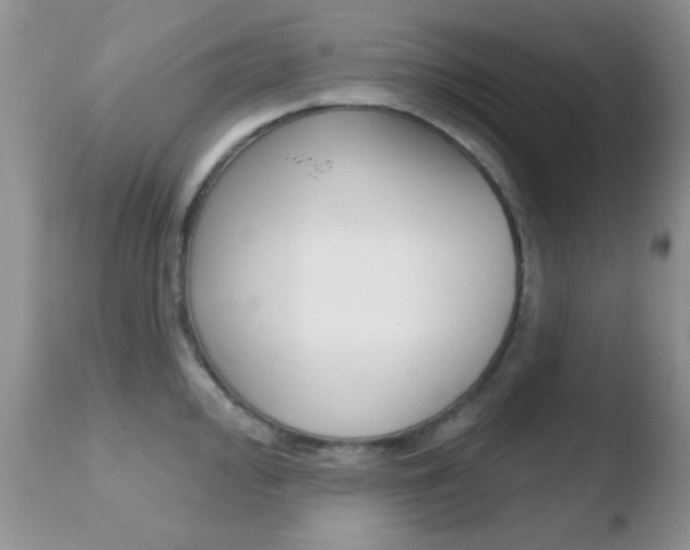 X0000110761000200906150926