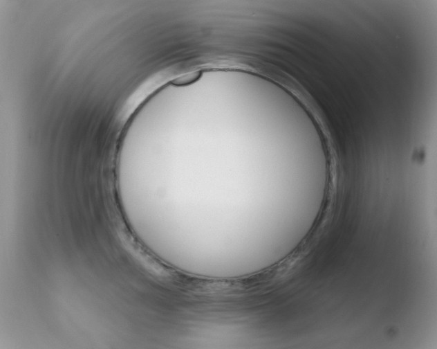 X0000110761002200906150926