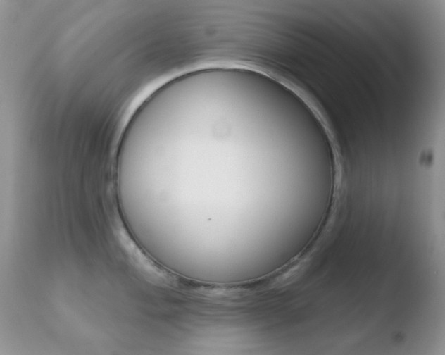 X0000110761004200906150925