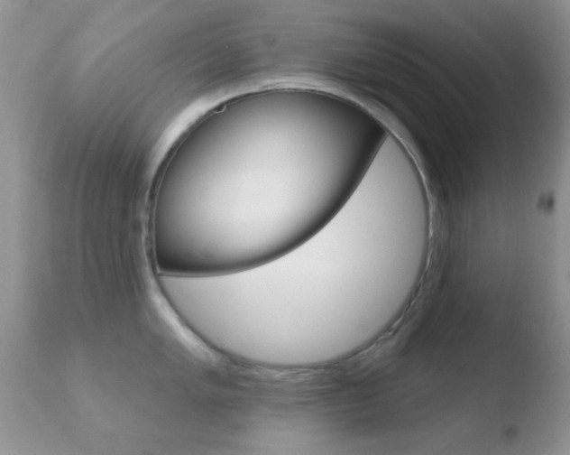 X0000110761005200906150925