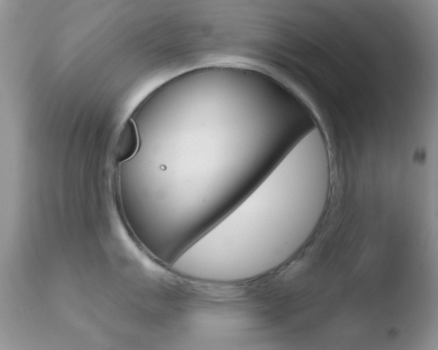 X0000110761007200906150925