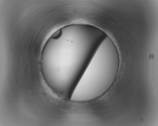 X0000110761008200906150925