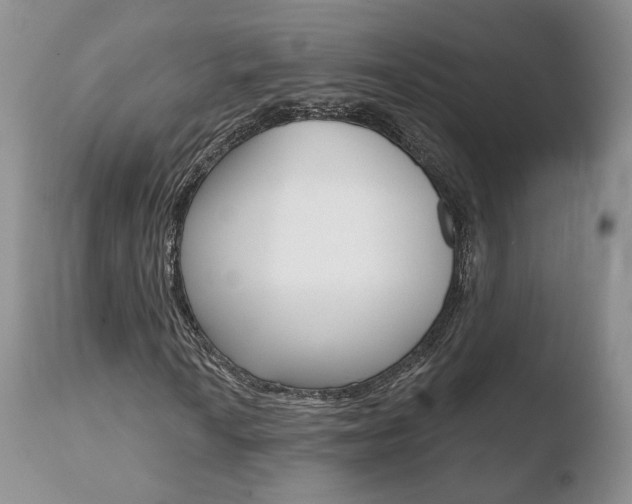 X0000110761010200906150925