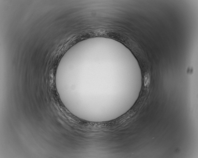 X0000110761011200906150925