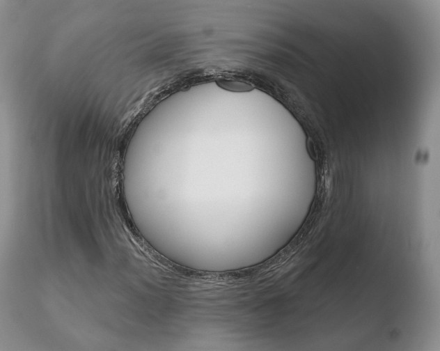X0000110761012200906150925