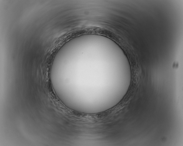X0000110761013200906150925