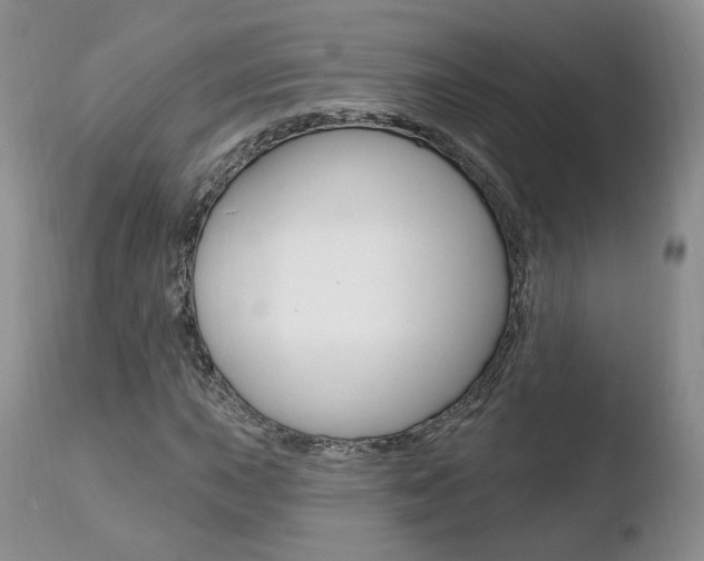 X0000110761015200906150925