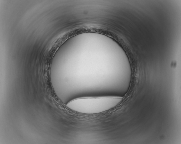 X0000110761016200906150925