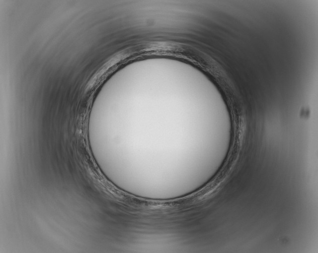 X0000110761017200906150925