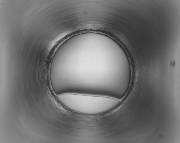 X0000110761018200906150925
