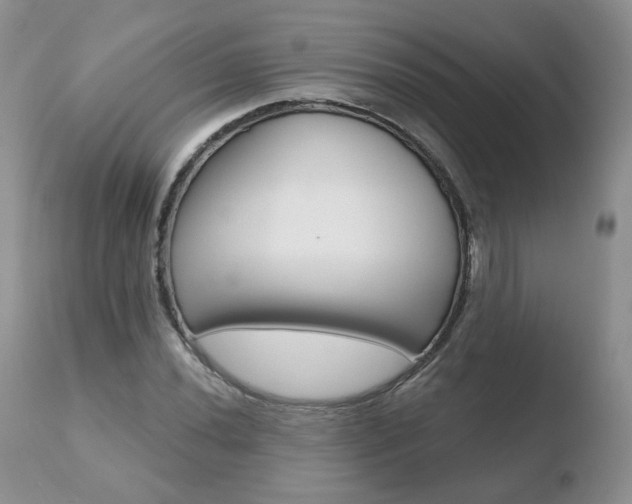 X0000110761020200906150925