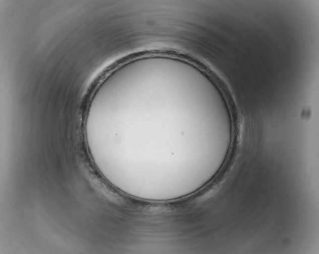 X0000110761021200906150925