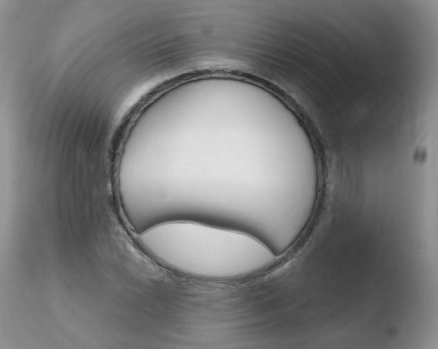 X0000110761022200906150925