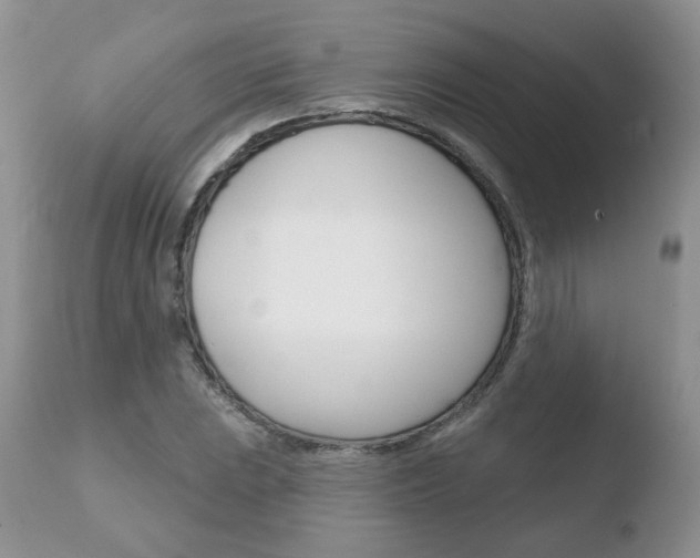 X0000110761023200906150925