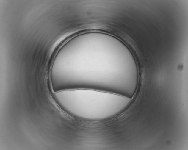 X0000110761024200906150925