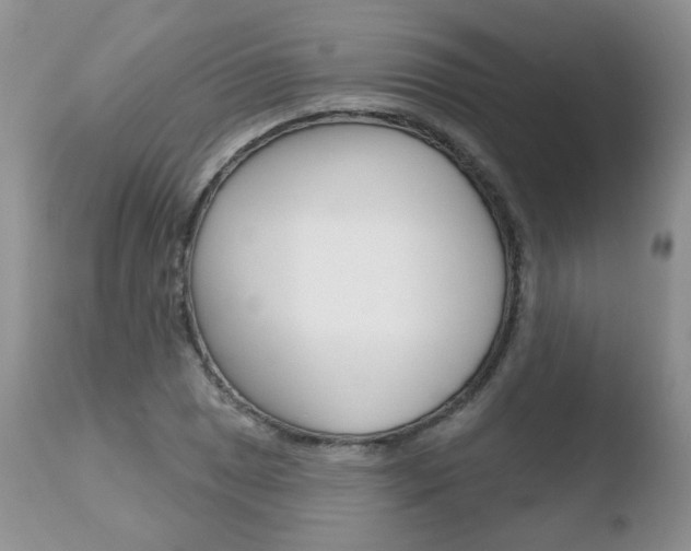 X0000110761025200906150925