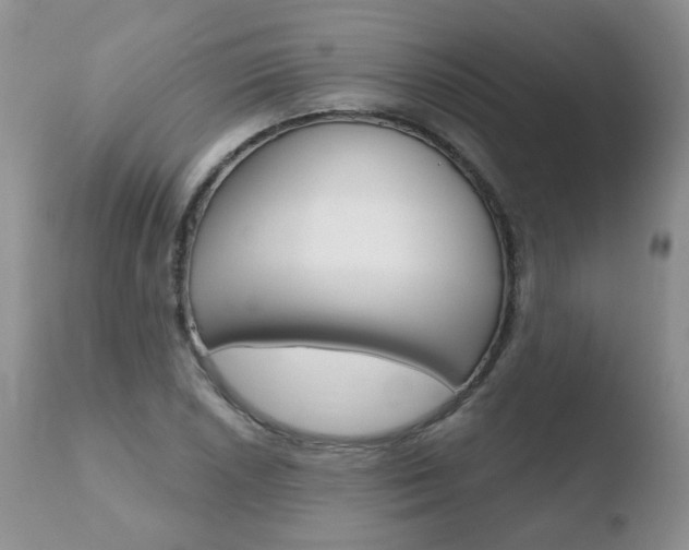 X0000110761026200906150925