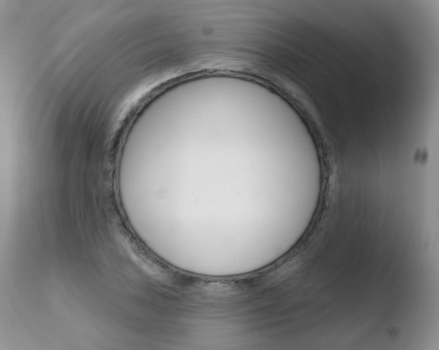 X0000110761027200906150925