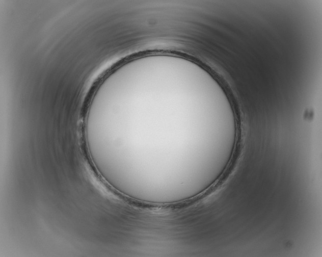 X0000110761029200906150925