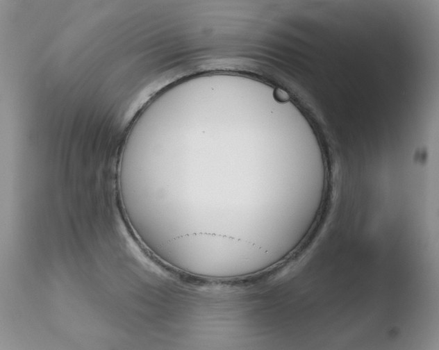 X0000110761033200906150925