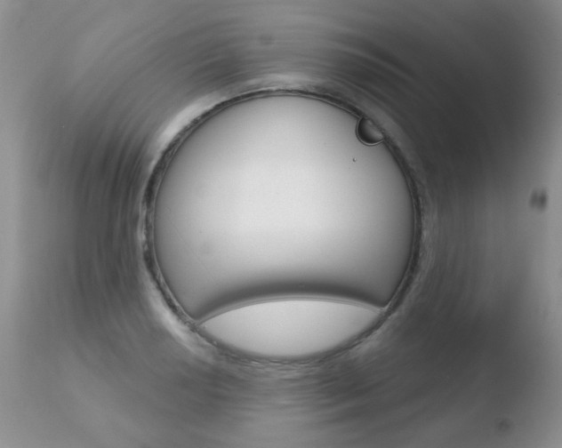 X0000110761034200906150925