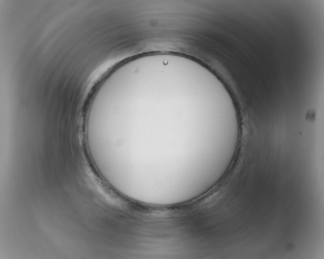 X0000110761035200906150925