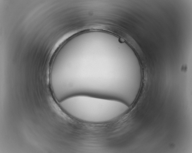 X0000110761036200906150925