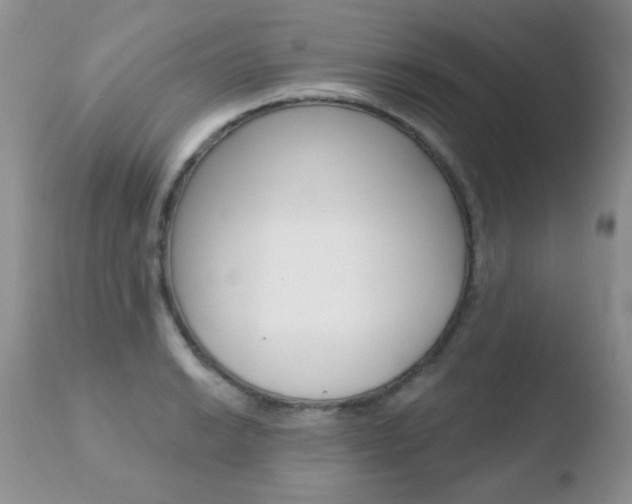 X0000110761038200906150925