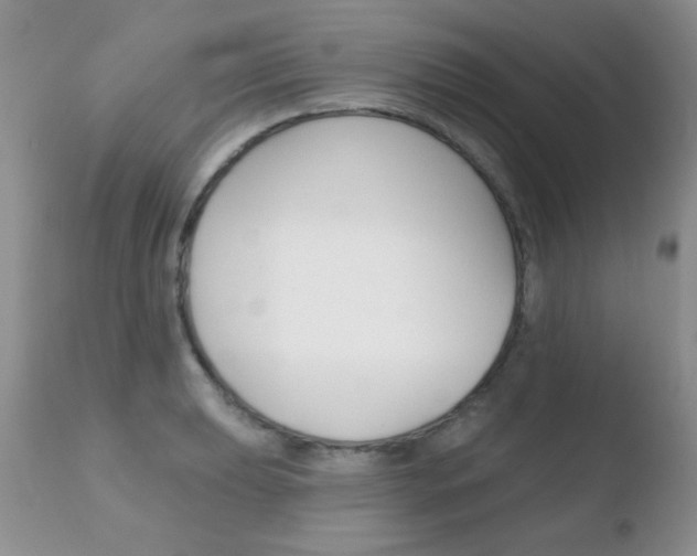 X0000110761039200906150925