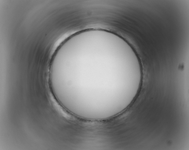X0000110761040200906150925