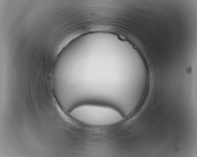 X0000110761041200906150925