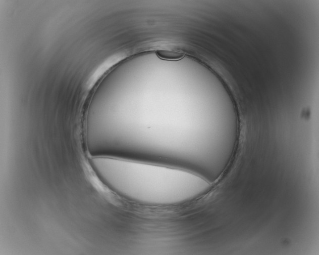 X0000110761042200906150925