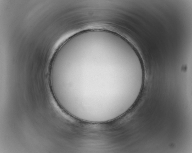 X0000110761045200906150925